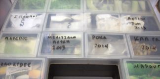 Πως φυλάμε τους σπόρους από τα φυτά