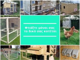 Φτιάξτε μόνοι σας το δικό σας μικρό κοτέτσι Φτιάξτε μόνοι σας το δικό σας κοτέτσι
