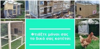 Φτιάξτε μόνοι σας το δικό σας μικρό κοτέτσι Φτιάξτε μόνοι σας το δικό σας κοτέτσι