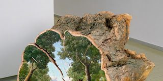 Πανέμορφες ελαιογραφίες σε κορμούς δέντρων