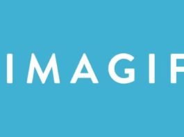 imagify plugin