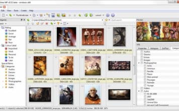 xnviewmp image editor